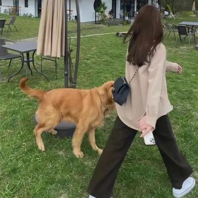 恋恋星辰